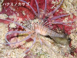 今日も快適