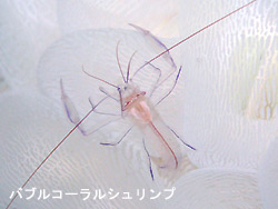 良い天気