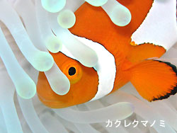 今日も良い天気!