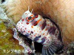 水が冷たい!