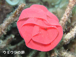 風が強い・・・。