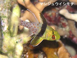 マクロで。。