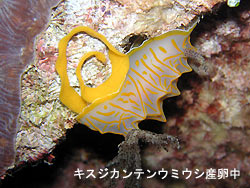 マクロで。。