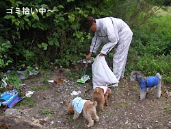 涼しい