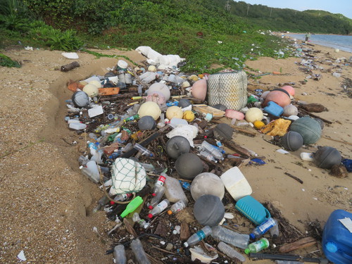 野原海岸～ホネラ海岸の漂着ゴミ回収事業とやまねこマラソンに向けた県道掃除