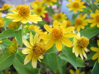 Give me 5 2012/03/30 21:56:53