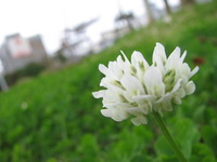幸せな夜でした。　inアルテ崎山♪ 2012/05/18 04:26:21