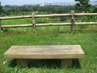 今日はライブだよ～♪ 2012/05/04 12:06:21