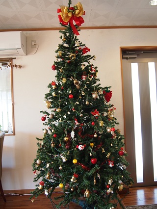 店内をクリスマスのデコレーションで仕上げてみました★