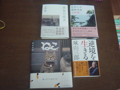 2010年05月:ちはや書房 沖縄セレクト古本屋日記