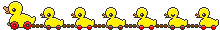 迷鳥(まいご)2