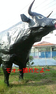 ギャパミン