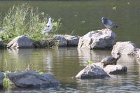 久しぶりの公園満喫