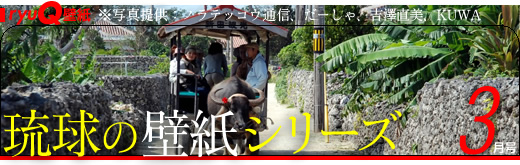 琉球壁纸系列3月号