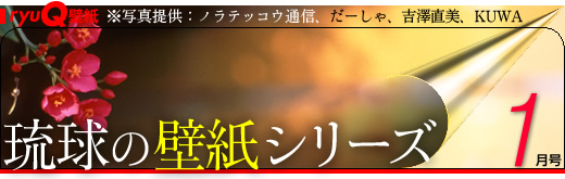 琉球壁纸系列1月号