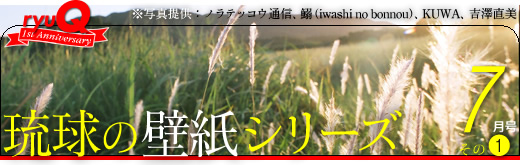 琉球壁纸系列7月号(一)