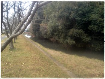 馬来田