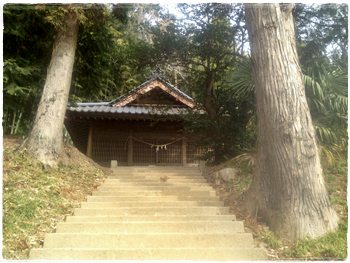 馬来田