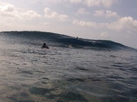 日曜　SURF