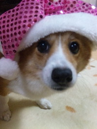 2011年12月25日