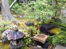 京都旅行記♢♢♢
