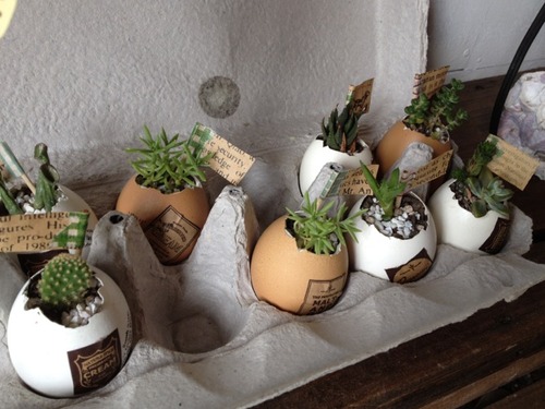 crystalplants