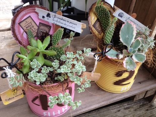 crystalplants