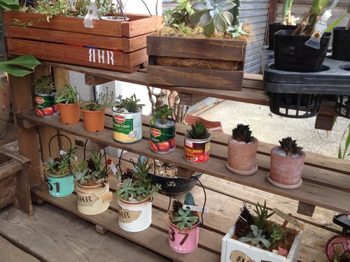 crystalplants