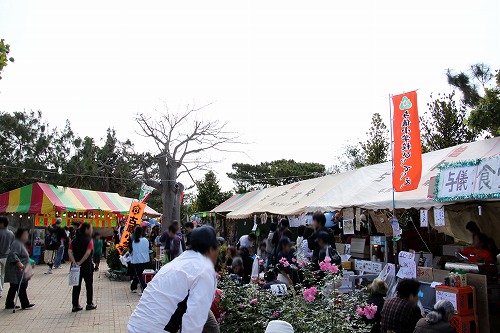 『漫湖さくらまつり』の出店