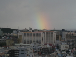 虹が見えたよ！