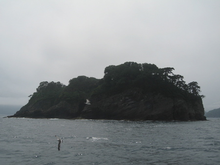浄土ヶ浜　日出島