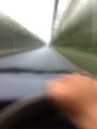 蒸し暑くて仕方ありませんね。 2012/04/12 12:29:49