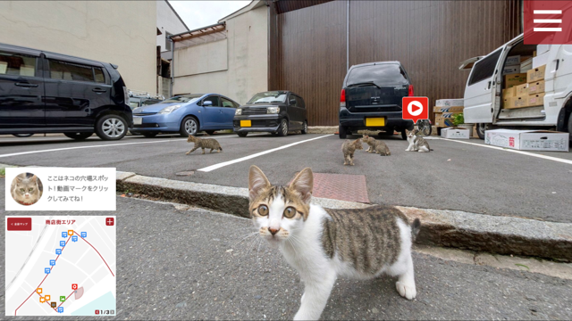 【猫好き必見！】ネコ目線で観光ができる！？世界初の広島キャットストリートビュー！ニャーっていう音声もでます！
