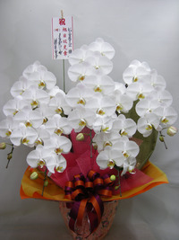 授章祝い！ 2012/04/30 14:32:18