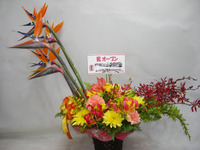 バードスタンド！ 2012/04/13 20:48:38