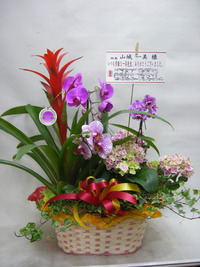 玉城まで 2012/03/28 20:49:24