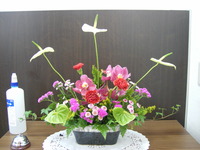 やっと！ 2012/04/02 20:14:57