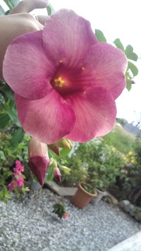 2011年10月23日