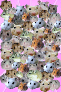 これで最後。。