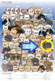 答えゎ。。。!?