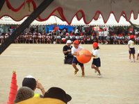 ハードな週末&運動会