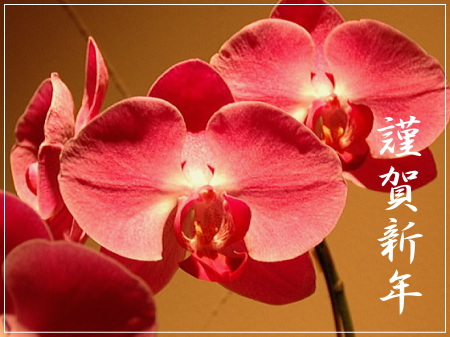 新年あめましておめでとうございます。