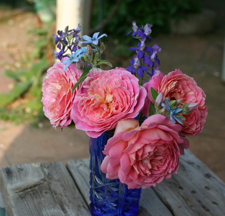 薔薇 切り花でじっくり見ると不思議な感じ 薔薇 切り花でじっくり見ると不思議な感じ