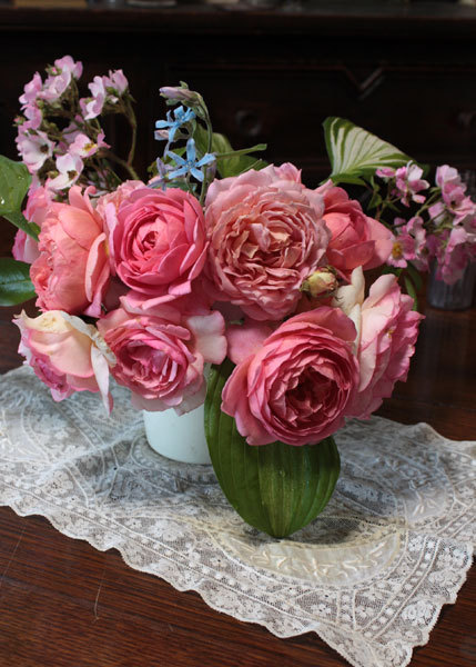 雨上がり 薔薇を切る 雨上がり 薔薇を切る