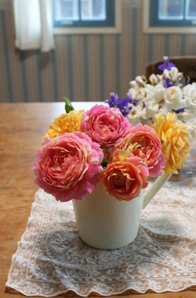 今日の薔薇 今日の薔薇