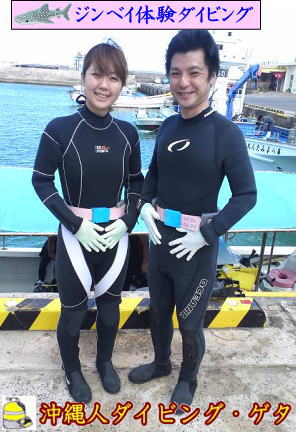 ジンベエザメ体験ダイビング