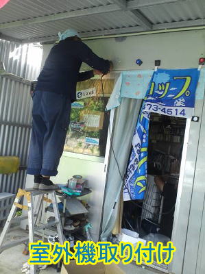 ジンベエザメ専門店