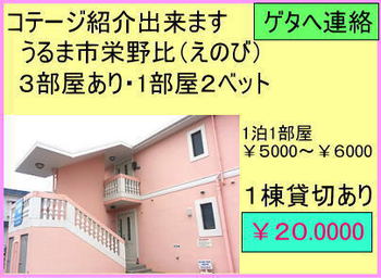 青の洞窟体験ダイビングとジンベエシュノーケル