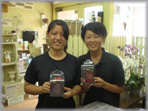 インターシップ第三弾