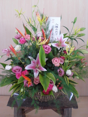 おめでとうございます!